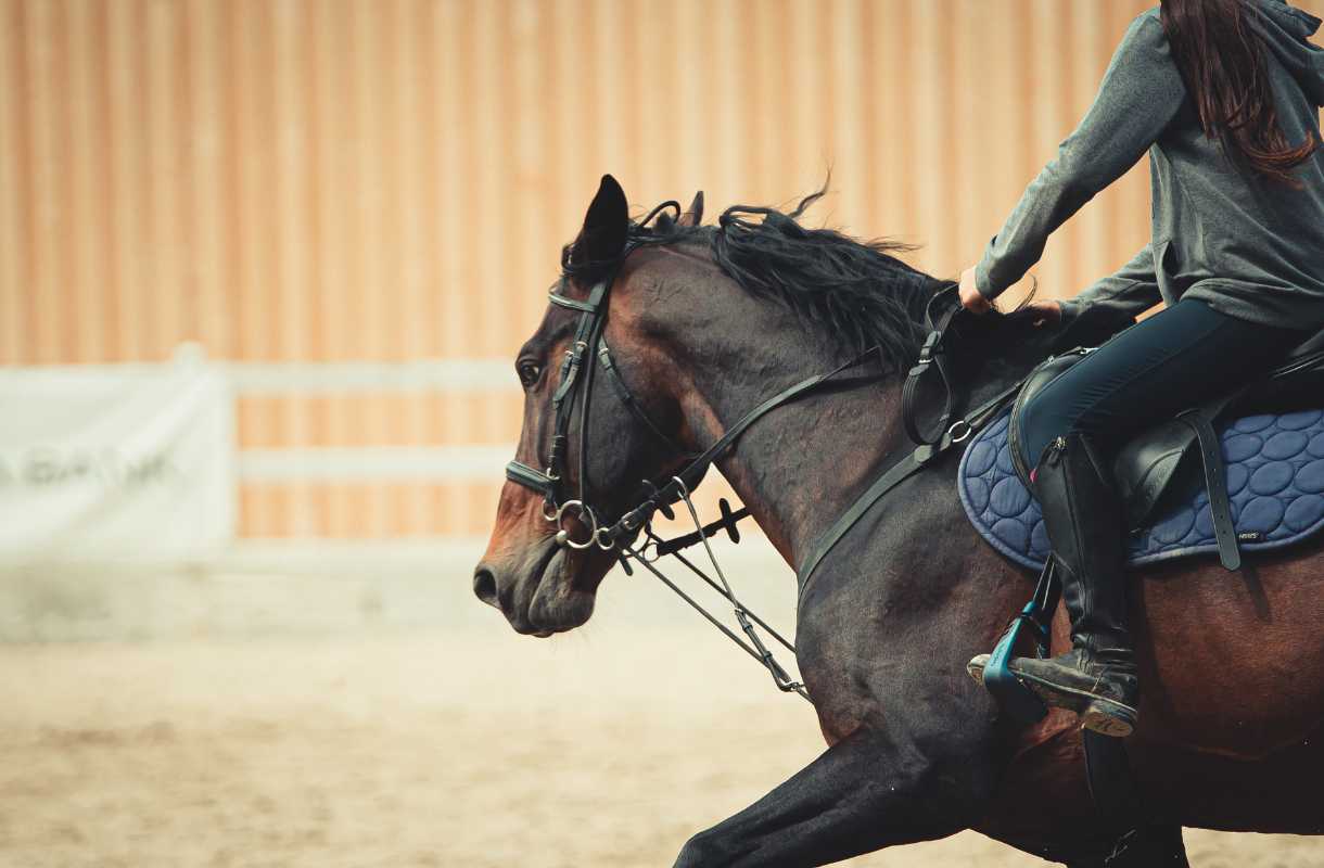 asse equestre