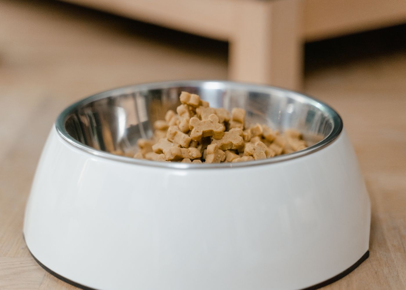 croquettes chien sans céréales